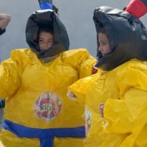 animation sumo antibes