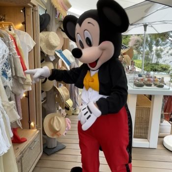 ph mickey st jean hote 1l