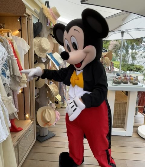 ph mickey st jean hote 1l